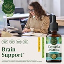 herbamama-gotu-kola-tincture-vegan-brain-2.jpg