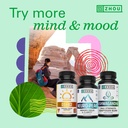 zhou-energy-focus-l-theanine-caffeine-pi-4.jpg