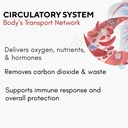bricker-labs-power-and-performance-duo-c-3.jpg