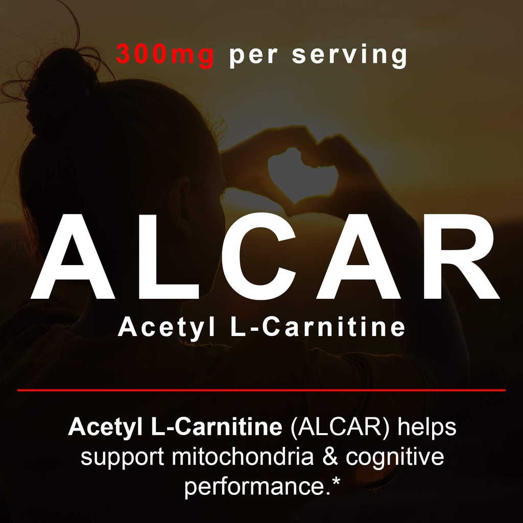 smarter-brain-support-nootropic-suppleme-4.jpg