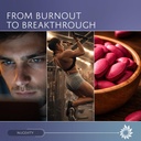energy-efp-nootropic-brain-supplements-b-6.jpg
