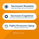lifeseasons-energy-vitality-support-ener-2.jpg