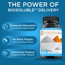 curcuminpro-detox-capsules-organic-turme-2.jpg