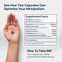 high-performance-nutrition-metabolism-bo-2.jpg