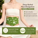 herbal-balance-patch-japanese-herbal-bal-2.jpg