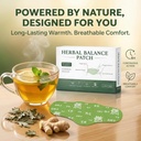 herbal-balance-patch-japanese-herbal-bal-5.jpg