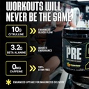 nutrabio-stim-free-pre-workout-for-men-n-5.jpg