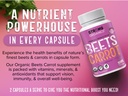 organic-beet-root-carrot-juice-powder-ca-2.jpg