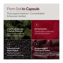 organic-beet-root-capsules-20-1-extract--3.jpg