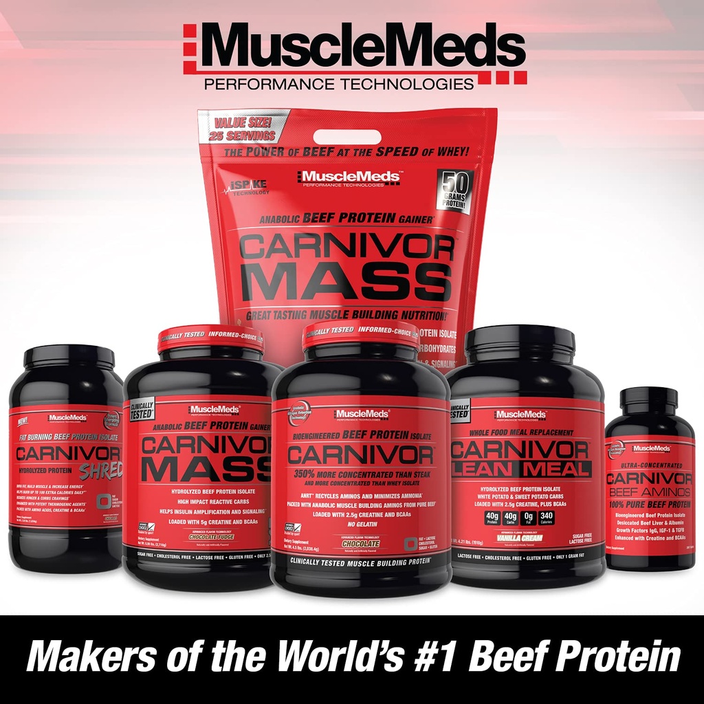musclemeds-amino-decanate-energy-pre-int-5.jpg