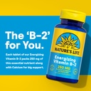 nature-s-life-vitamin-b-2-250-mg-vitamin-4.jpg