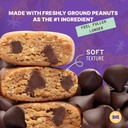 raw-rev-vegan-protein-bars-peanut-butter-4.jpg