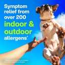 claritin-liquid-allergy-medicine-for-adu-6.jpg