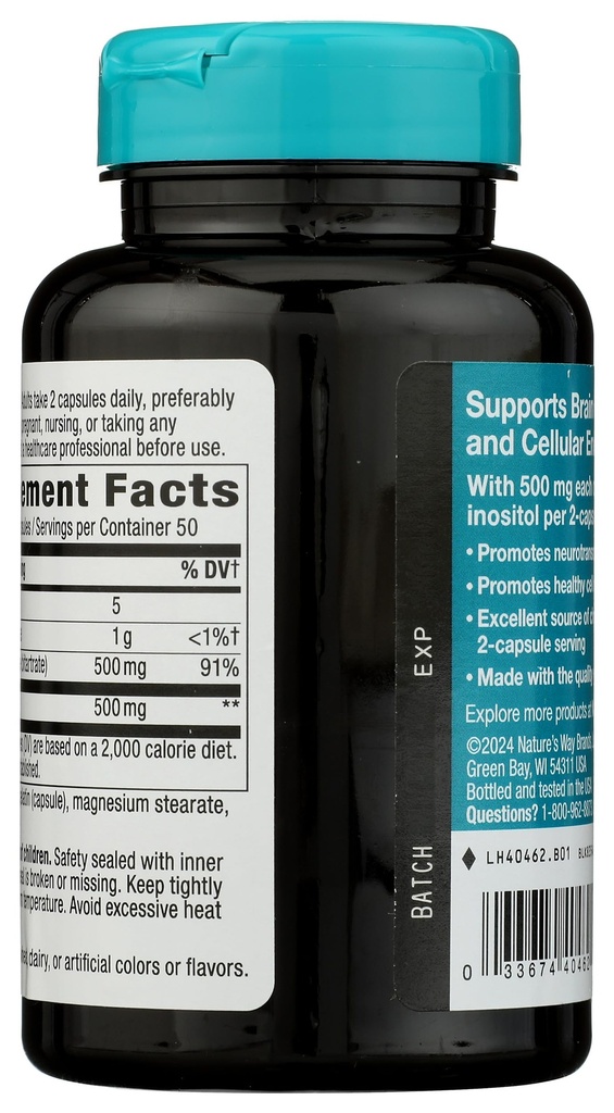 nature-s-way-choline-inositol-brain-heal-2.jpg