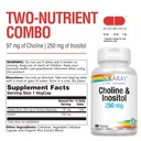solaray-choline-inositol-250-mg-two-nutr-3.jpg