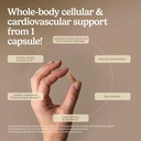 terry-naturally-clinical-opc-cardiovascu-4.jpg