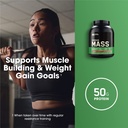 optimum-nutrition-serious-mass-weight-ga-5.jpg