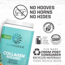 vegan-collagen-protein-powder-for-women--3.jpg