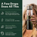 glotox-chlorophyll-liquid-drops-3000mg-s-3.jpg