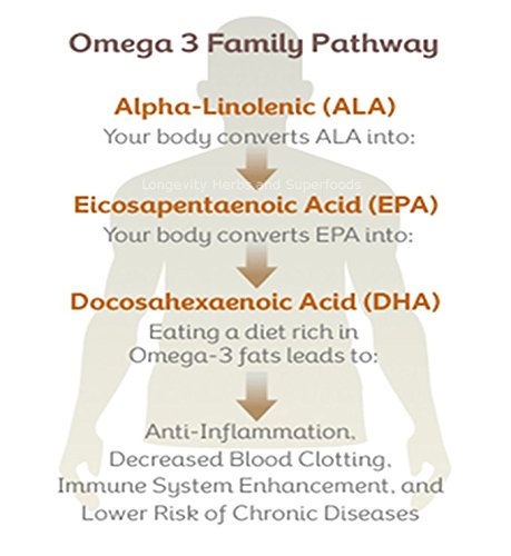 marine-phytoplankton-powder-raw-omega-3--3.jpg