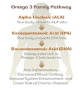 marine-phytoplankton-powder-raw-omega-3--3.jpg