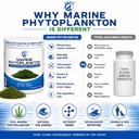 marine-phytoplankton-powder-1-lb-nutrien-2.jpg