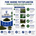 marine-phytoplankton-powder-1-lb-nutrien-6.jpg