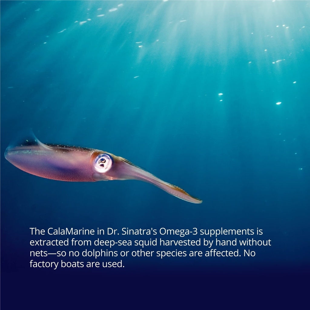 dr-sinatra-calamarine-omega-3-supplement-6.jpg