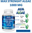 celulas-madres-60-capsules-vitamisan-100-2.jpg