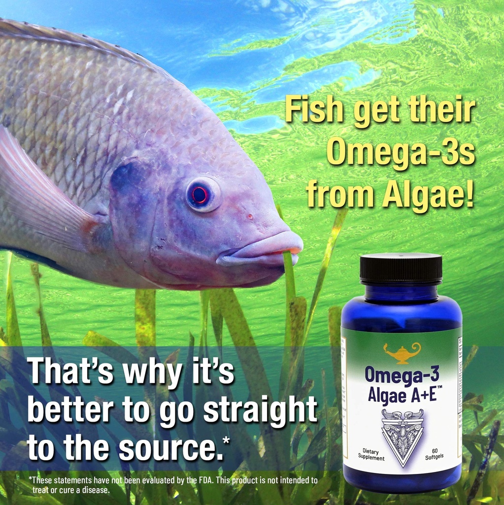 rna-reset-omega-3-algae-a-e-plant-based--5.jpg