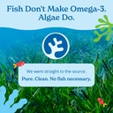 calgee-algae-omega-3-supplement-450mg-dh-4.jpg