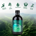 biogenesis-chlorophyll-liquid-17oz-peppe-3.jpg