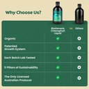 biogenesis-chlorophyll-liquid-17oz-peppe-5.jpg