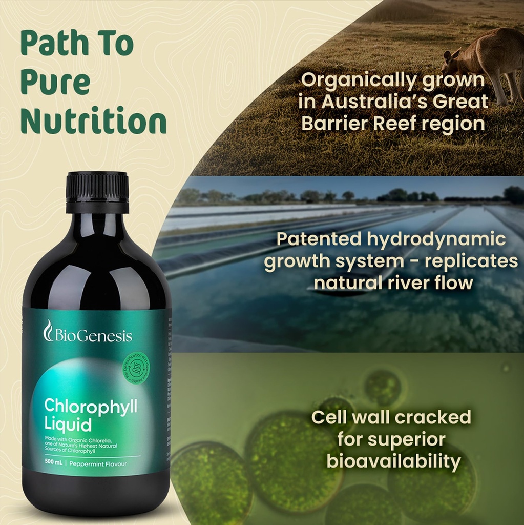 biogenesis-chlorophyll-liquid-17oz-peppe-4.jpg