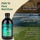 biogenesis-chlorophyll-liquid-17oz-peppe-4.jpg