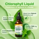lovita-chlorophyll-liquid-drops-high-pot-2.jpg