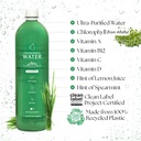 chlorophyll-water-6-pack-1-liter-chlorop-4.jpg