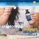 trace-minerals-concentrated-ionic-chloro-4.jpg