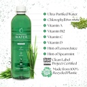 chlorophyll-water-12-pack-liquid-chlorop-4.jpg