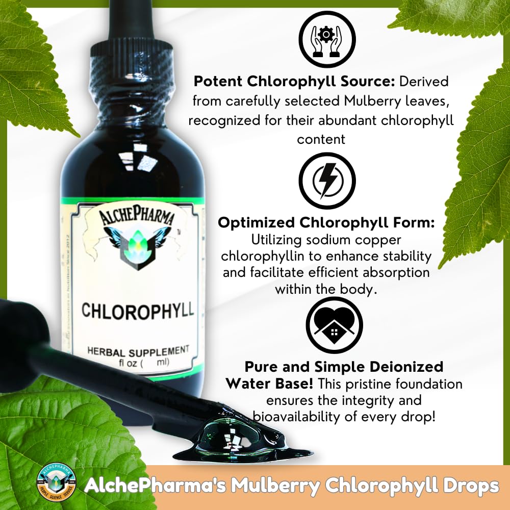 chlorophyll-from-mulberry-leaf-as-sodium-3.jpg