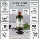 chlorophyll-from-mulberry-leaf-as-sodium-2.jpg