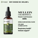 dr-wellme-mullein-chlorophyll-2-fl-oz-li-4.jpg