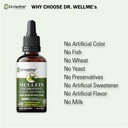 dr-wellme-mullein-chlorophyll-2-fl-oz-li-2.jpg