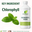 chlorophyll-liquid-internal-deodorizer-1-4.jpg