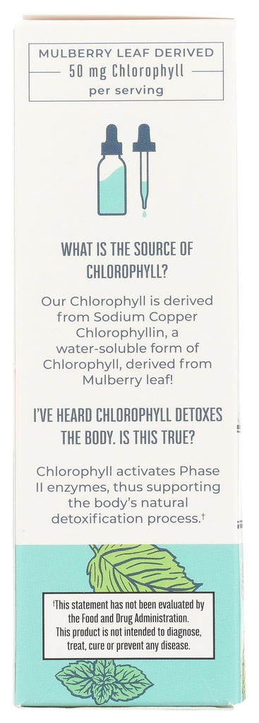 mary-ruth-s-chlorophyll-liquid-drops-2-f-4.jpg