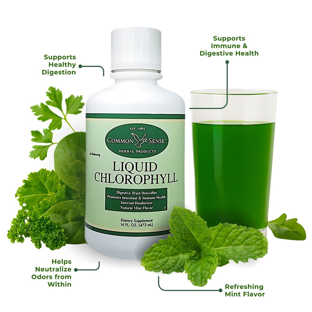 liquid-chlorophyll-16oz-natural-mint-fla-4.jpg