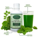 liquid-chlorophyll-16oz-natural-mint-fla-4.jpg