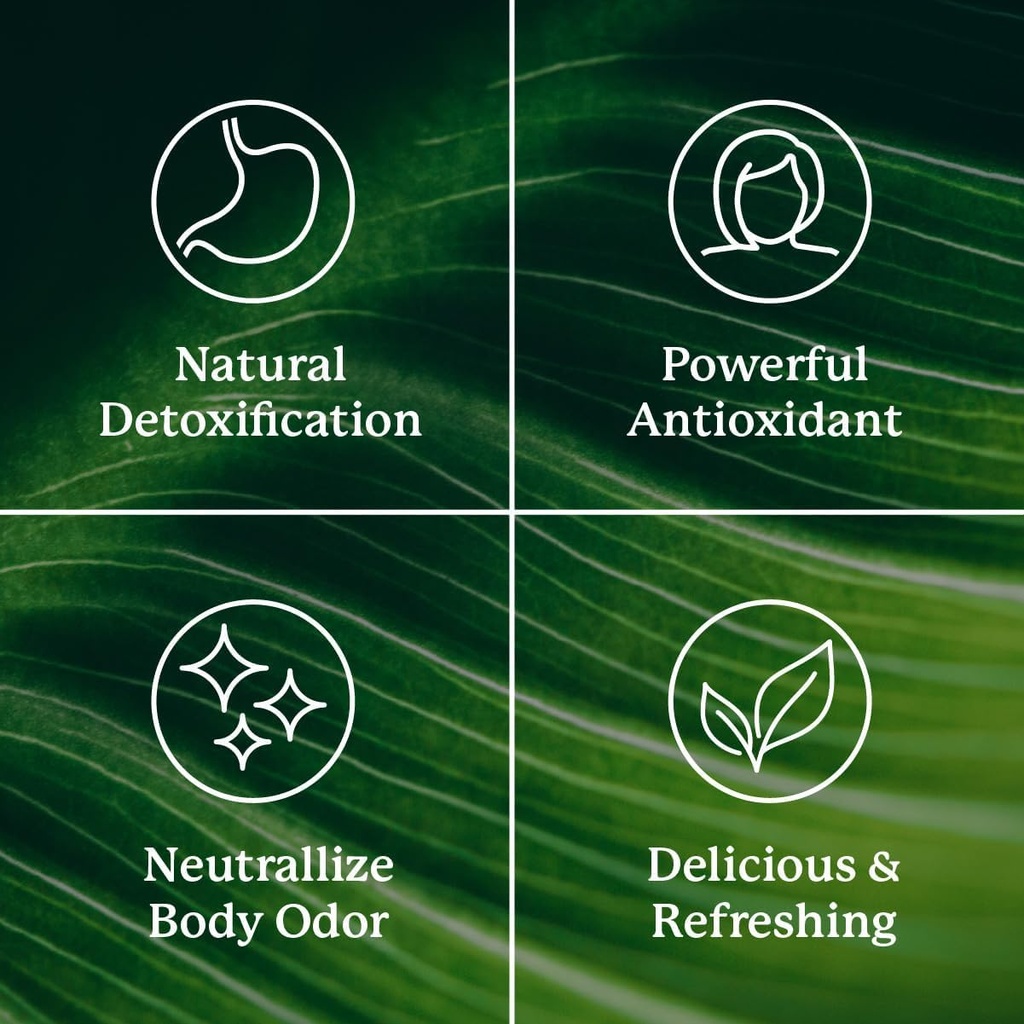 nature-s-sunshine-chlorophyll-stick-pack-4.jpg