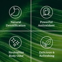 nature-s-sunshine-chlorophyll-stick-pack-4.jpg