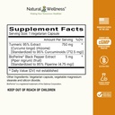 natural-wellness-turmeric-95-with-bioper-2.jpg